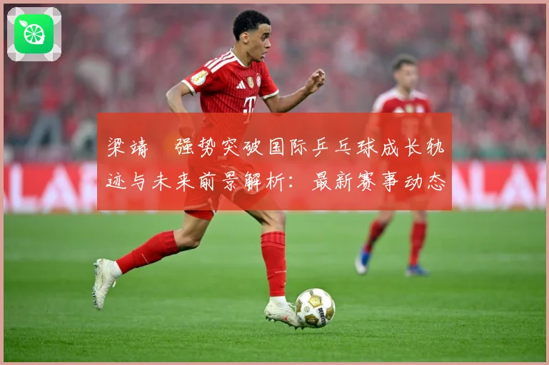 梁靖崑强势突破国际乒乓球成长轨迹与未来前景解析：最新赛事动态与深度分析